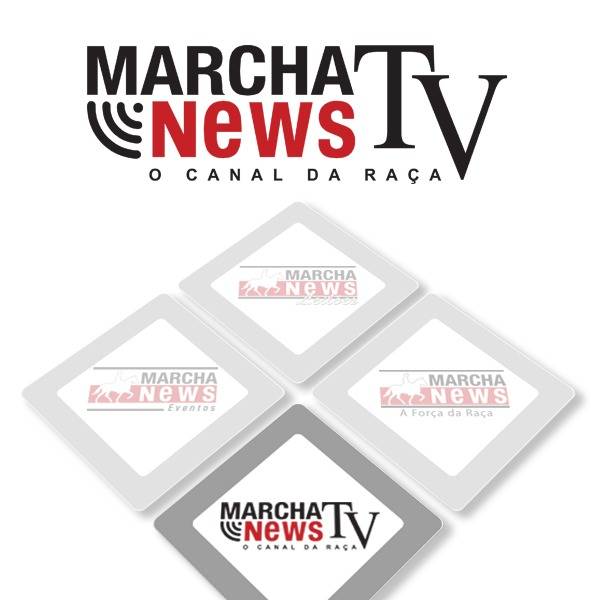 Marcha News TV